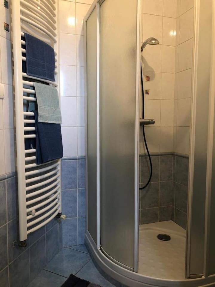 Appartement Cosy Saint-Etienne  Dış mekan fotoğraf